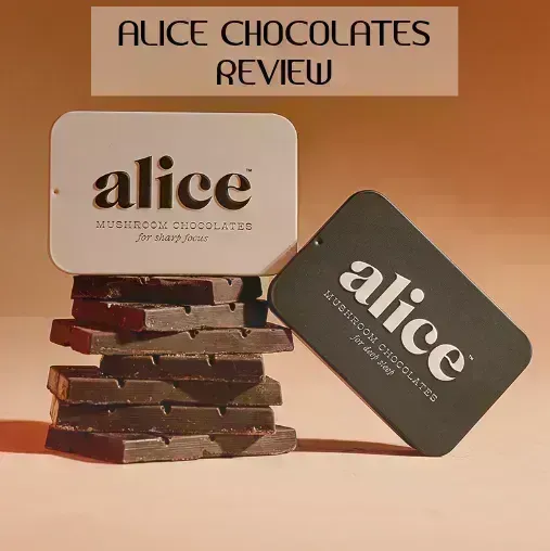 Alice Mushroom Chocolates Review: Is Chocolate the New Way to Enjoy Mushrooms?