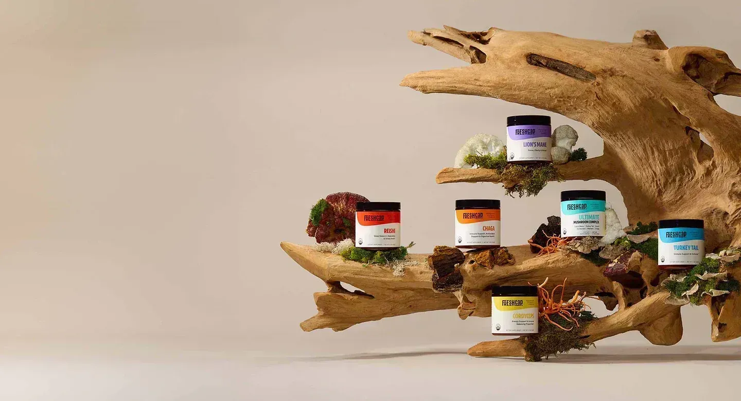 FreshCap Mushrooms Review: Inside Their Mushroom Supplement Range