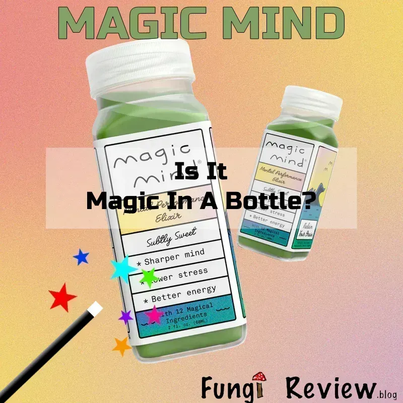 Magic Mind Review: Is It Magic In A Bottle?