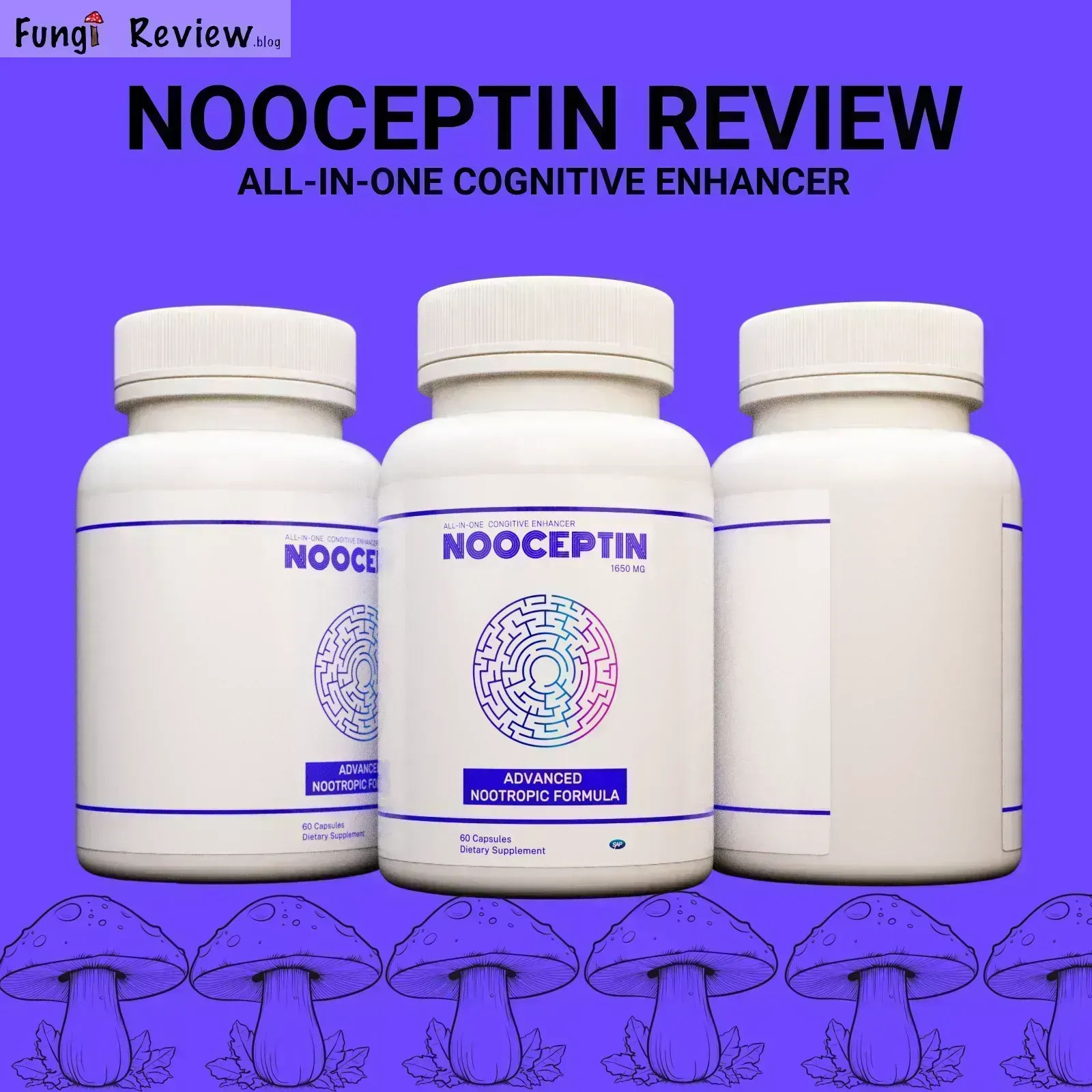 Nooceptin Review: Benefits, Uses, and Effects on Brain Health