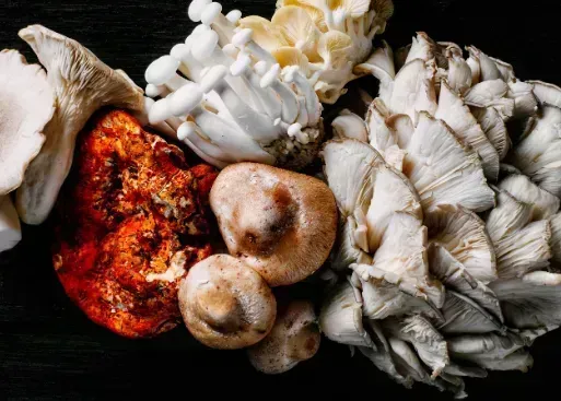 Are Mushrooms Good for Diabetics? A Comprehensive Guide