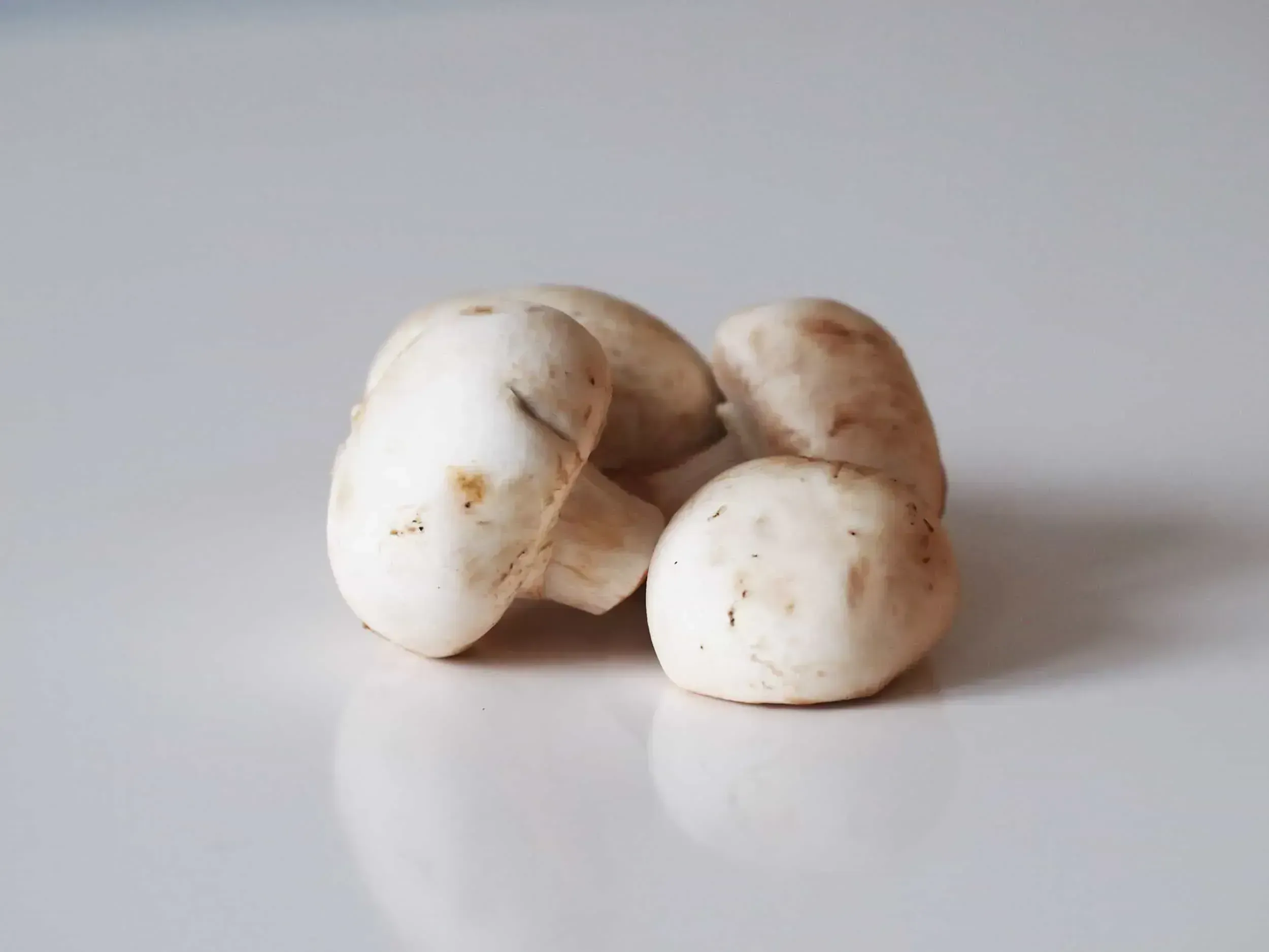 Can You Eat Raw Mushrooms? A Comprehensive Guide
