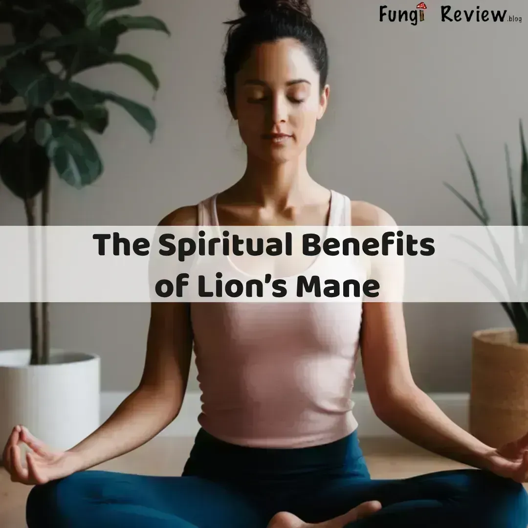 The Spiritual Benefits of Lion’s Mane: A Fungi Review on an Ancient Fungus