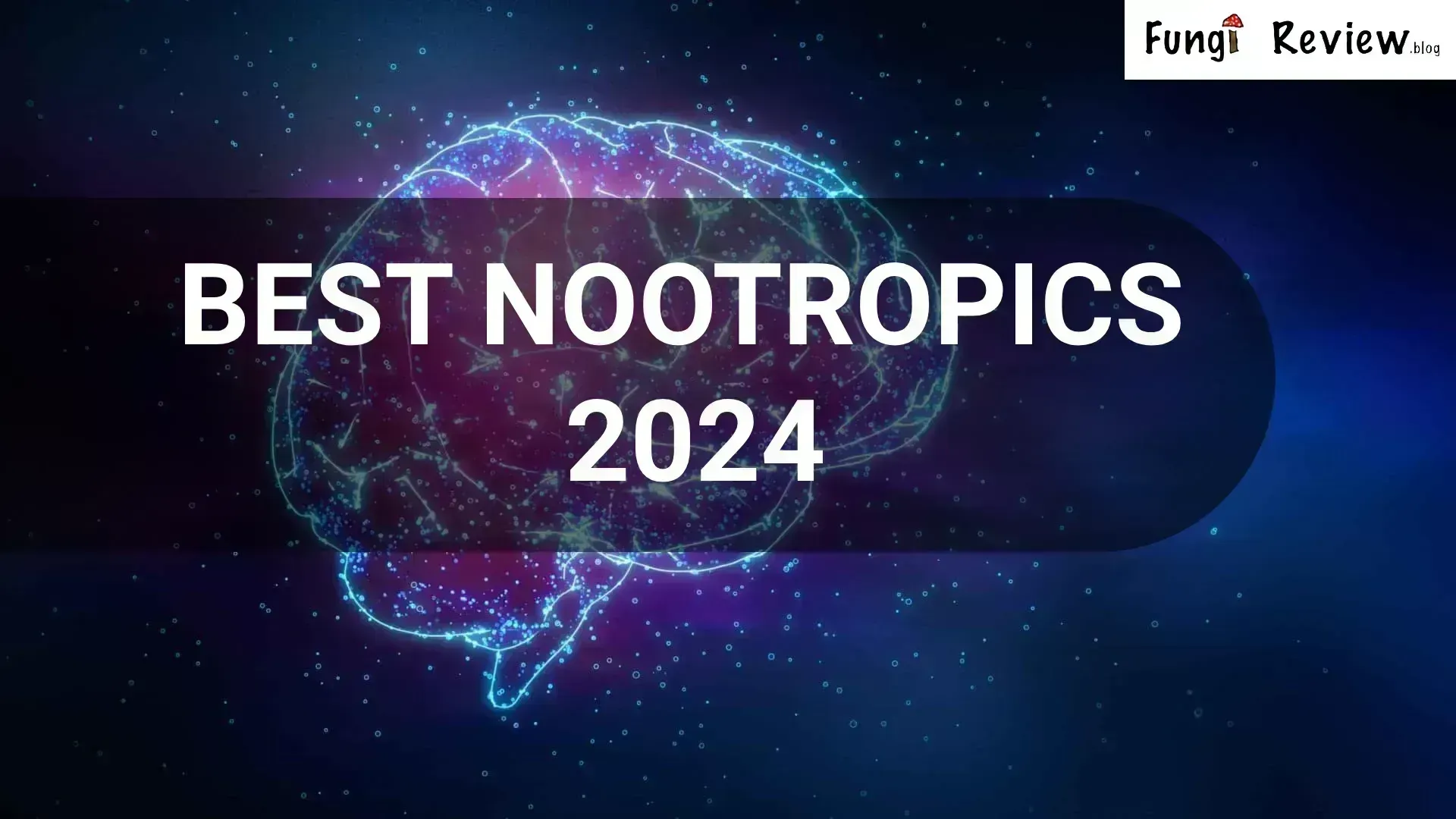Best Nootropics 2024: A Fungi Review - The Best Blog on Mushroom Products