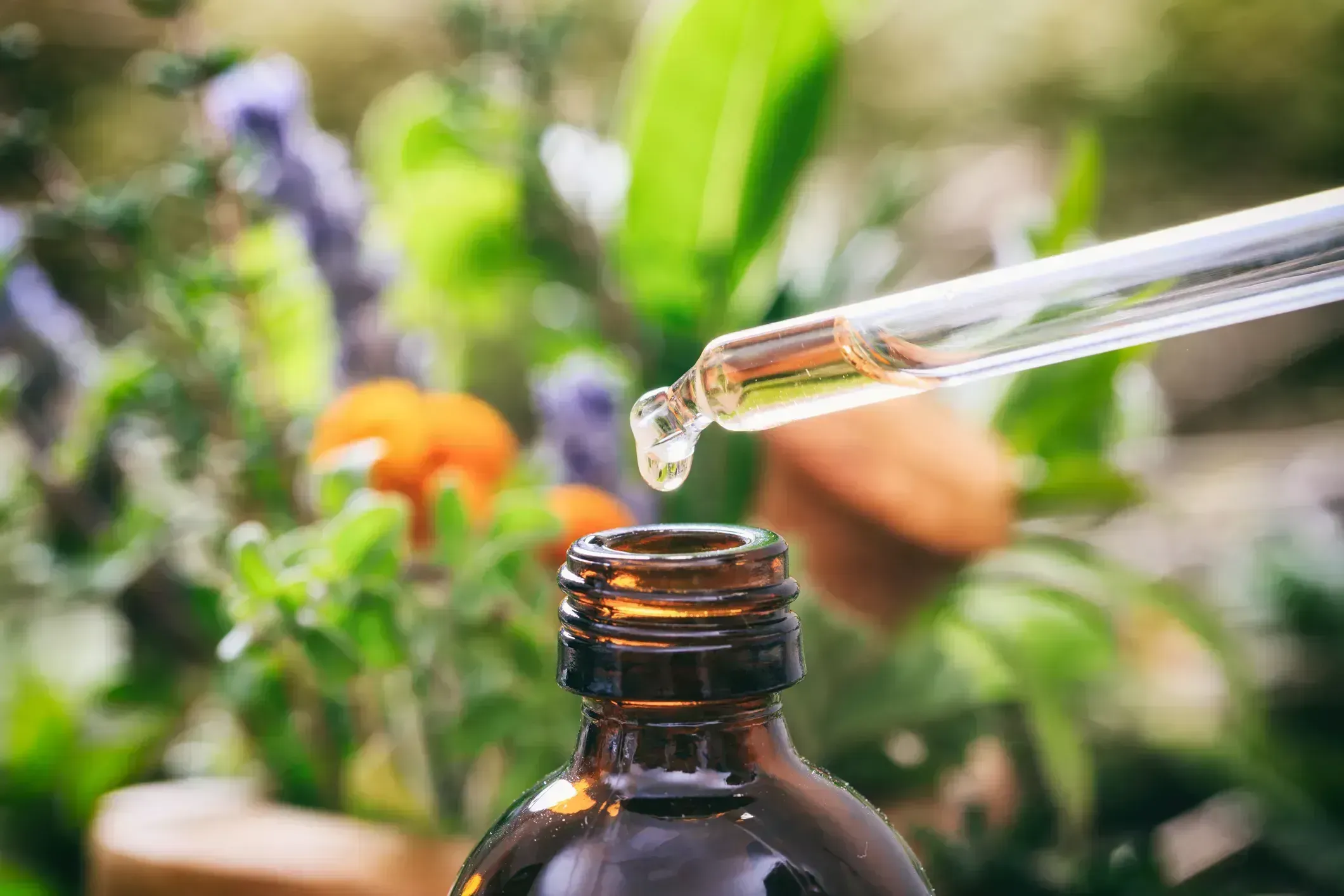 The Best Mushroom Tinctures for Health: A Complete Guide to Top Picks and Benefits