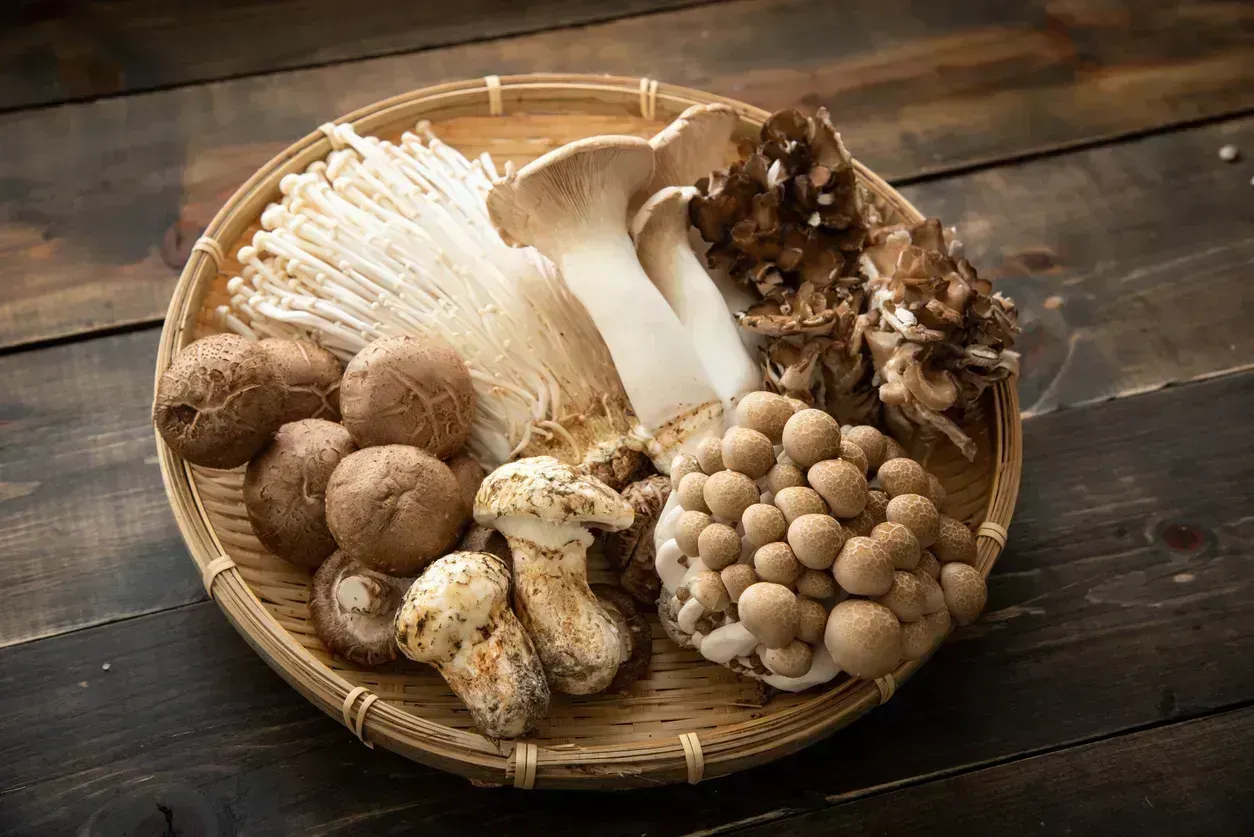 Mushroom Extract Vs Mushroom Powder: Which Is Right For You?