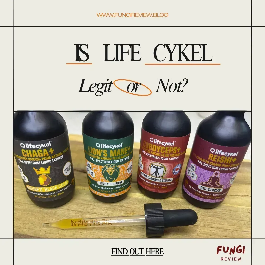 Life Cykel Review: Is Life Cykel Legit?