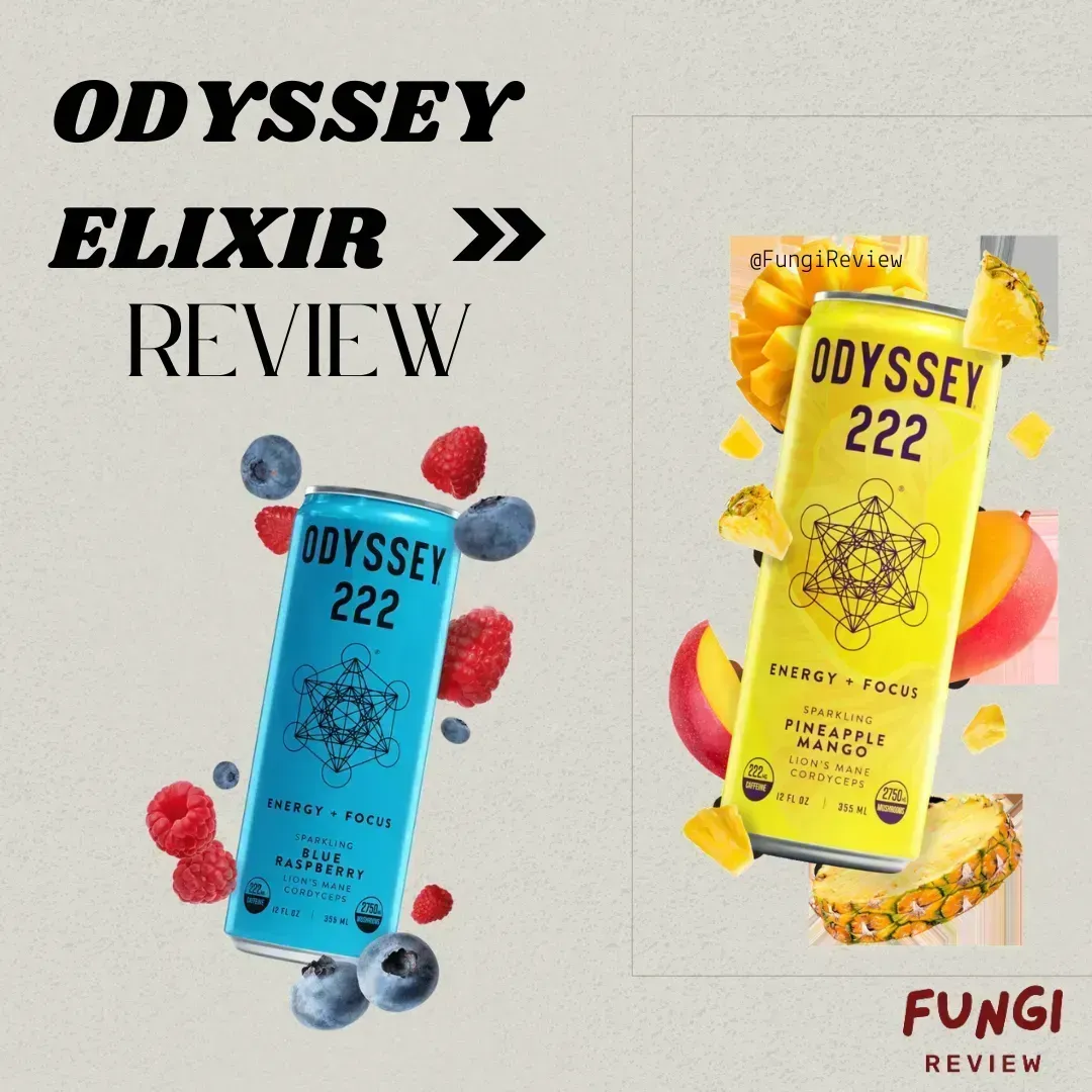 Odyssey Elixir Review: A Functional Beverage Revolution