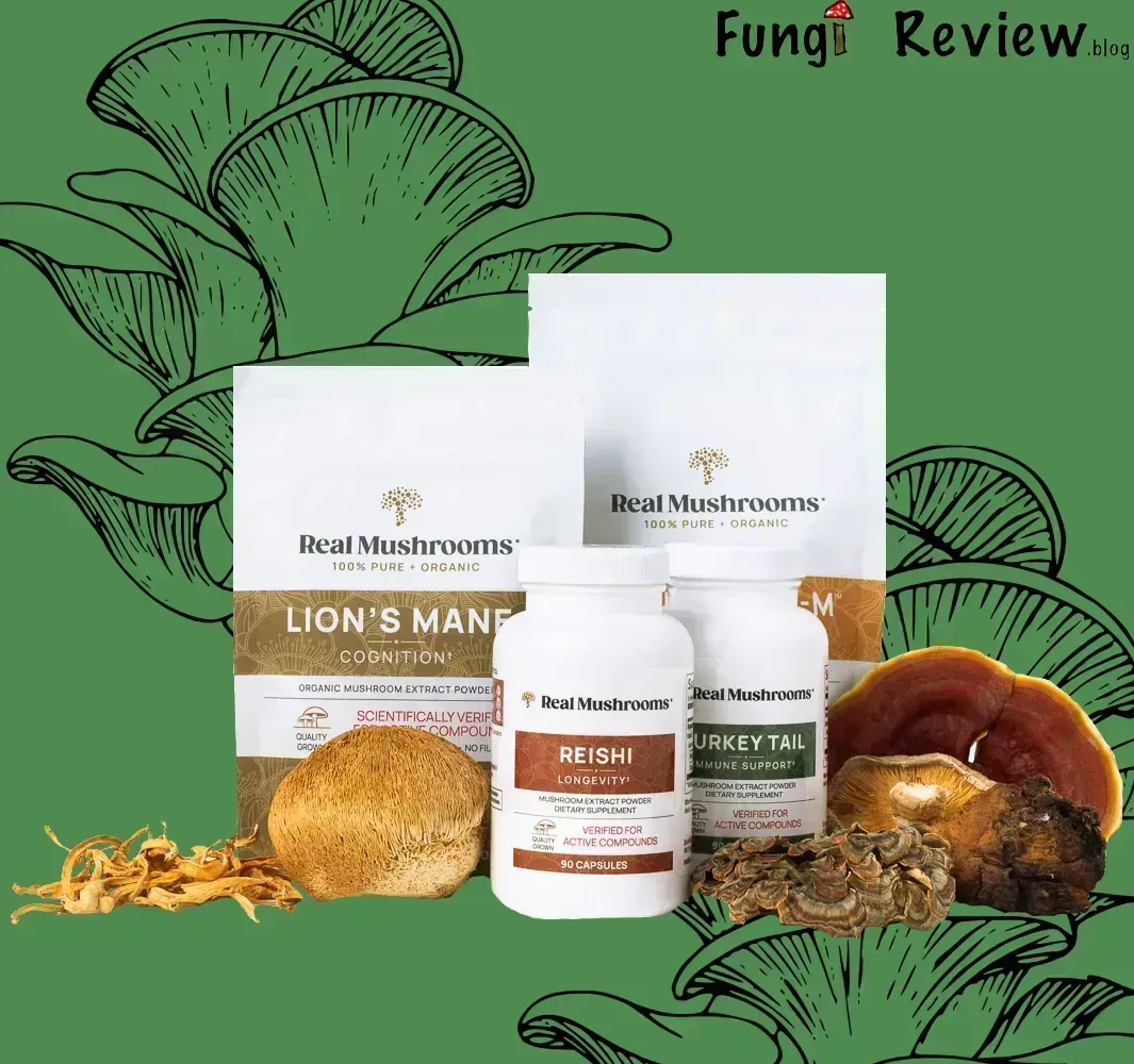 Real Mushrooms Review: Uncovering the Science Behind Their Mushroom Extracts Products